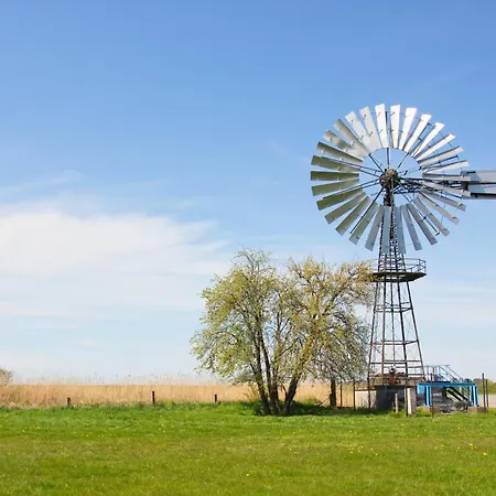 아파트 Nur 100 M Zum Strand, Mit Balkon Und Terrasse - App Eldena 19
