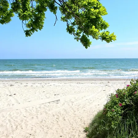 Nur 100 M Zum Strand, Mit Balkon Und Terrasse - App Eldena 19 아파트 *