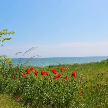 아파트 Nur 100 M Zum Strand, Mit Balkon Und Terrasse - App Eldena 19 *