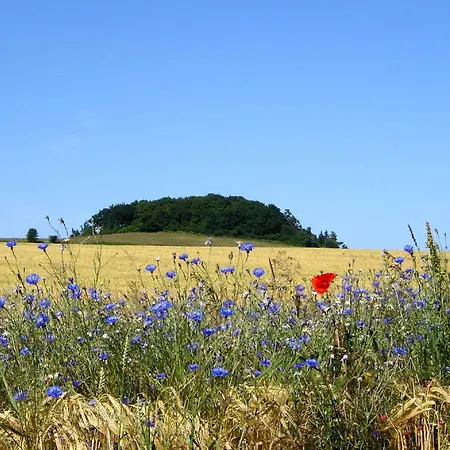 아파트 Nur 100 M Zum Strand, Mit Balkon Und Terrasse - App Eldena 19 로베