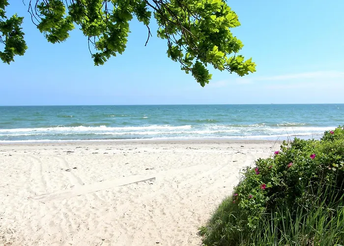 Nur 100 M Zum Strand, Mit Balkon Und Terrasse - App Eldena 19 Lejlighed *