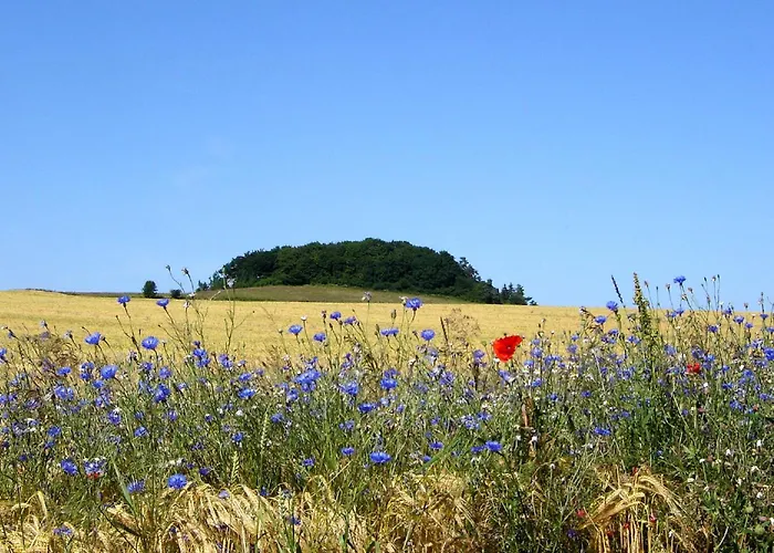 Lejlighed Nur 100 M Zum Strand, Mit Balkon Und Terrasse - App Eldena 19 Lobbe