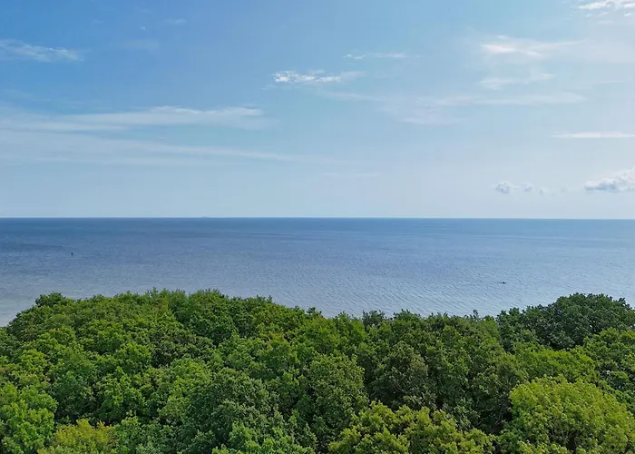 Nur 100 M Zum Strand, Mit Balkon Und Terrasse - App Eldena 19 Lobbe